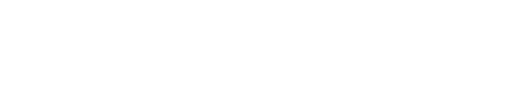 巴鲁克学院标识